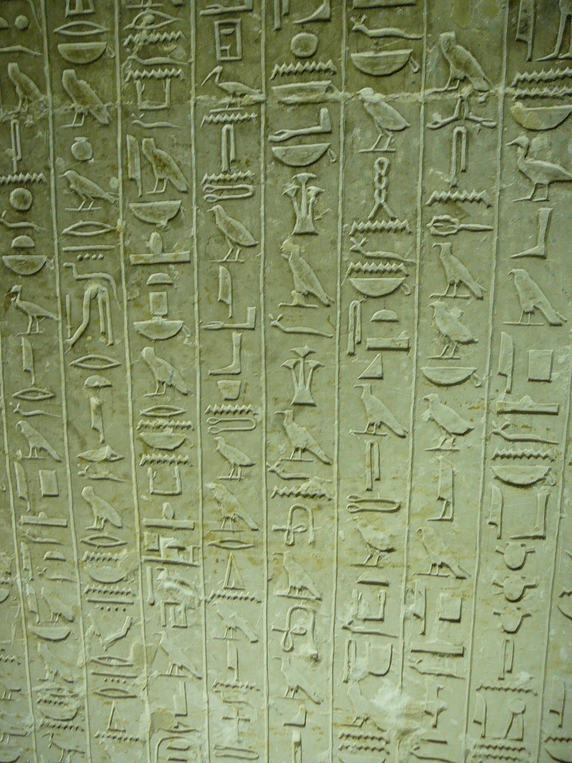 Sakkara-hierogyphs